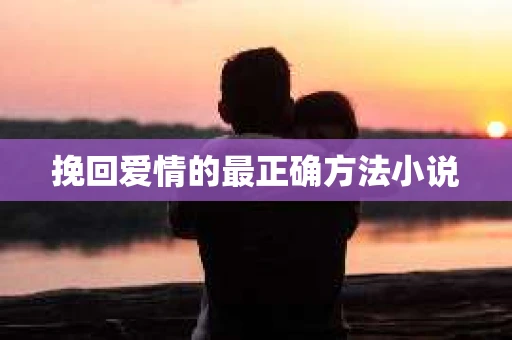 挽回爱情的最正确方法小说