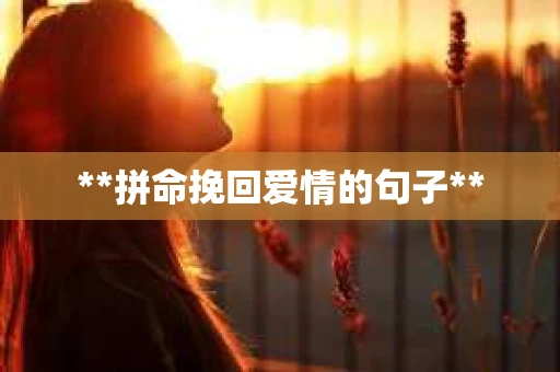 **拼命挽回爱情的句子**
