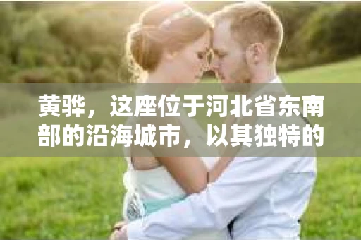 黄骅，这座位于河北省东南部的沿海城市，以其独特的地理位置和丰富的历史文化而闻名。然而，在这座城市中，还有一群人，他们以另一种方式默默守护着社会的公平与正义——私家侦探。今天，我们就来聊聊黄骅的私家侦探，看看他们是如何在这个城市中发挥作用的。