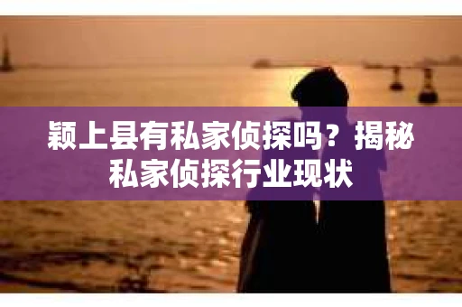 颖上县有私家侦探吗？揭秘私家侦探行业现状