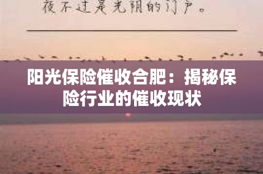 阳光保险催收合肥：揭秘保险行业的催收现状