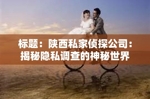 标题：陕西私家侦探公司：揭秘隐私调查的神秘世界