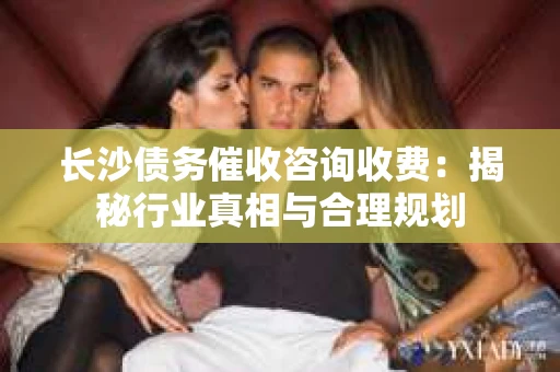 长沙债务催收咨询收费：揭秘行业真相与合理规划