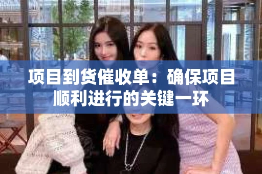 项目到货催收单：确保项目顺利进行的关键一环