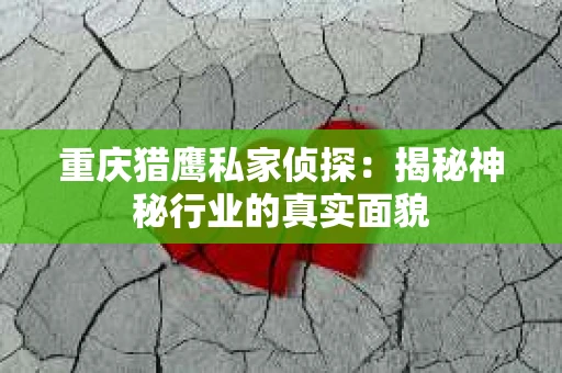 重庆猎鹰私家侦探：揭秘神秘行业的真实面貌