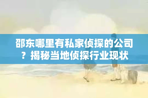 邵东哪里有私家侦探的公司？揭秘当地侦探行业现状