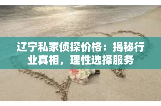 辽宁私家侦探价格：揭秘行业真相，理性选择服务