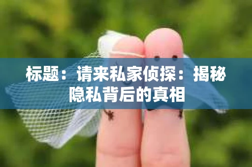 标题：请来私家侦探：揭秘隐私背后的真相