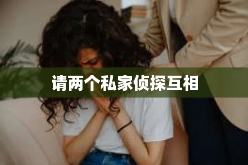 请两个私家侦探互相