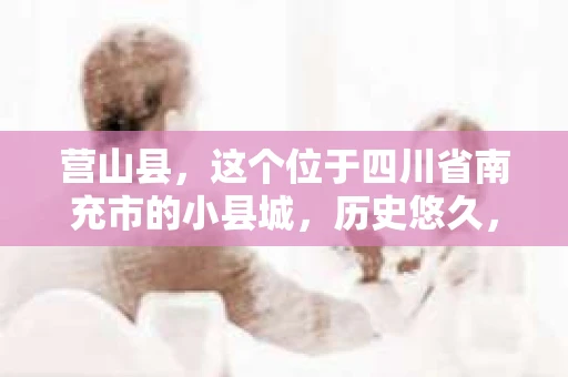 营山县，这个位于四川省南充市的小县城，历史悠久，风景秀丽。但在这个宁静的小县城里，你是否会好奇，有没有私家侦探的存在呢？今天，我就来和大家聊聊这个话题。