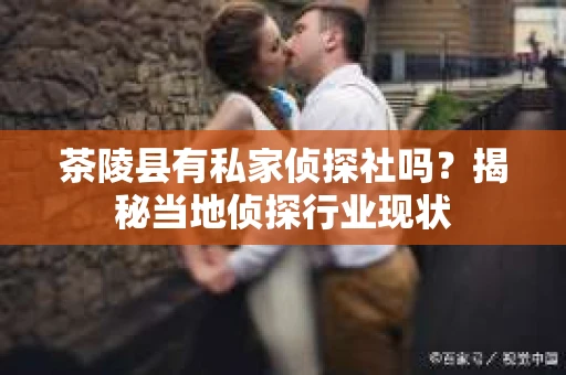 茶陵县有私家侦探社吗？揭秘当地侦探行业现状