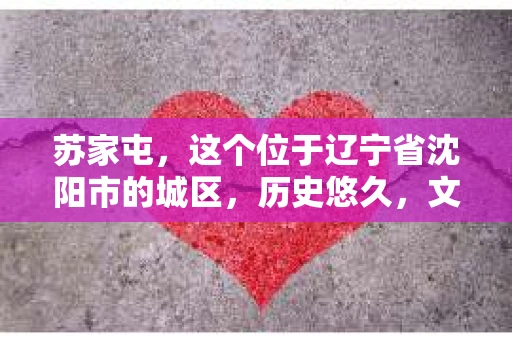 苏家屯，这个位于辽宁省沈阳市的城区，历史悠久，文化底蕴深厚。近年来，随着社会的发展，人们对于私家侦探的需求也逐渐增加。那么，苏家屯有私家侦探吗？今天，我们就来聊聊这个话题。