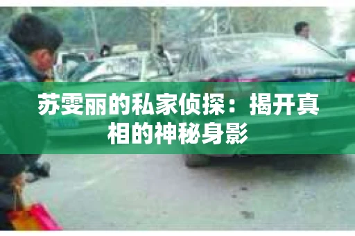 苏雯丽的私家侦探：揭开真相的神秘身影