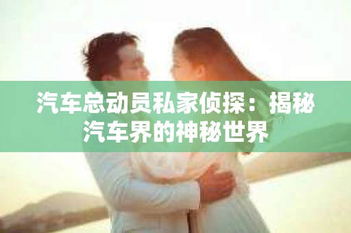 汽车总动员私家侦探：揭秘汽车界的神秘世界