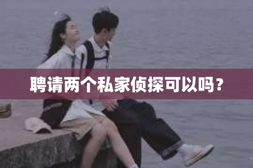 聘请两个私家侦探可以吗? 聘请两个私家侦探可以吗?