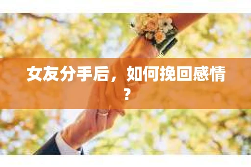女友分手后，如何挽回感情？