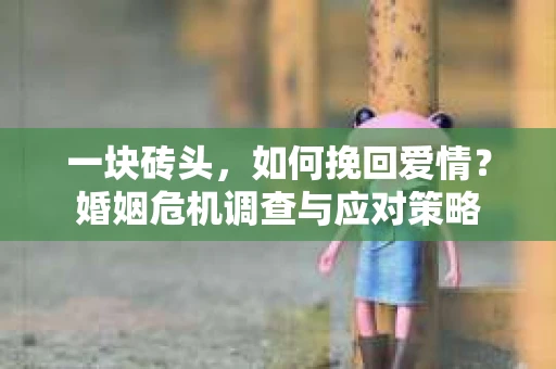 一块砖头，如何挽回爱情？婚姻危机调查与应对策略