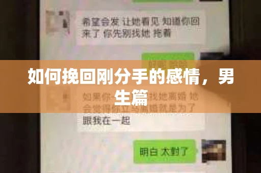 如何挽回刚分手的感情，男生篇