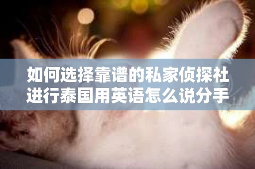 如何选择靠谱的私家侦探社进行泰国用英语怎么说分手挽回服务？