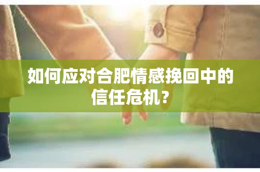 如何应对合肥情感挽回中的信任危机？