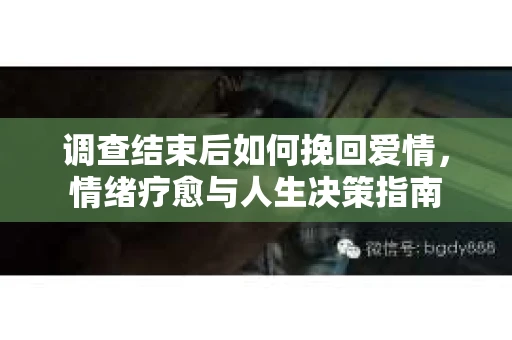 调查结束后如何挽回爱情，情绪疗愈与人生决策指南