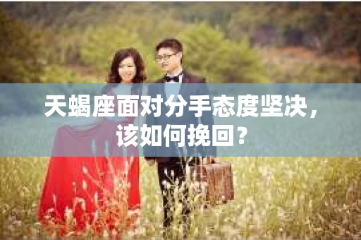 天蝎座面对分手态度坚决，该如何挽回？