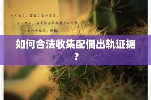 如何合法收集配偶出轨证据？